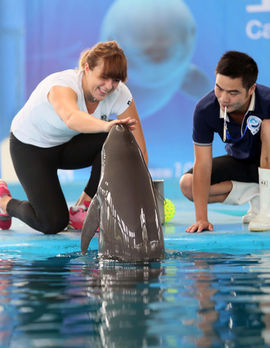 国际高尔夫 国际高尔夫